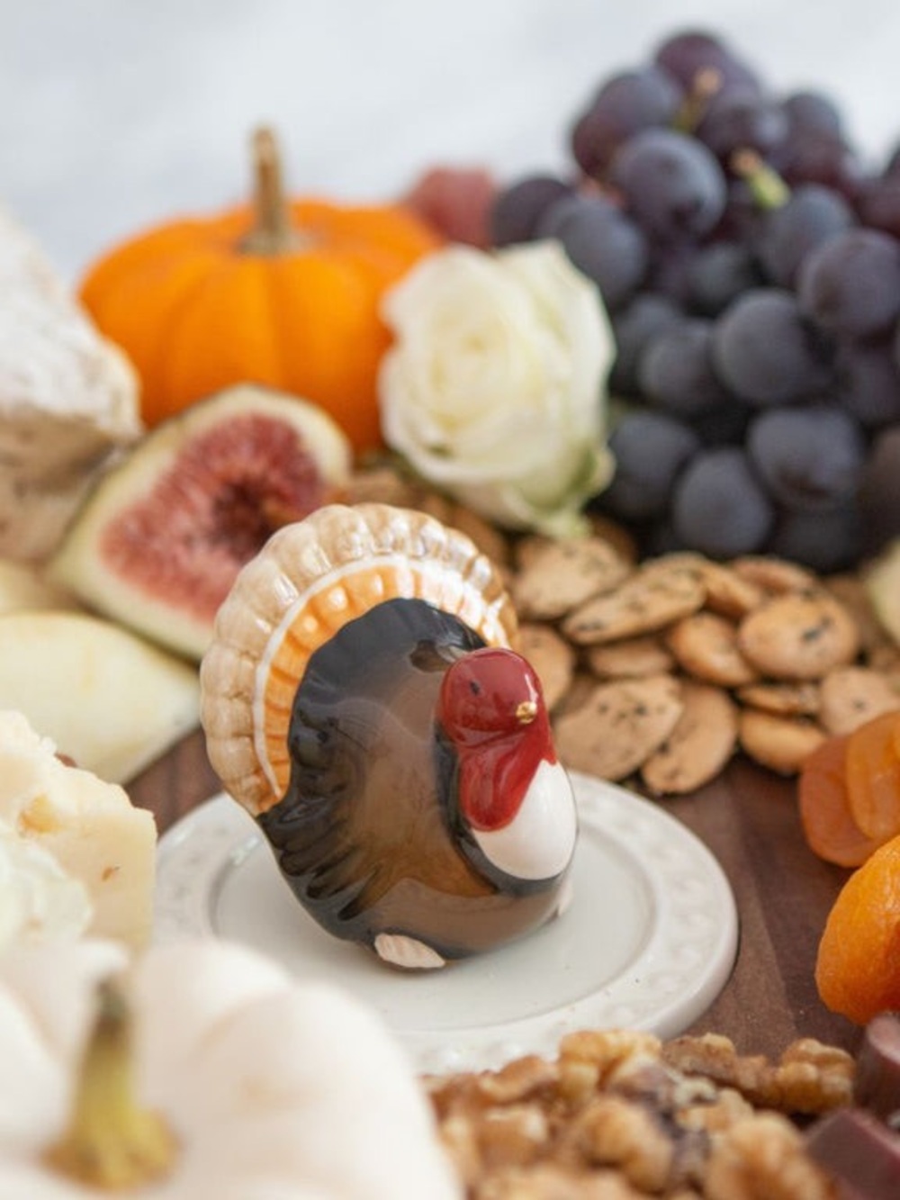 Nora Fleming Turkey Charm